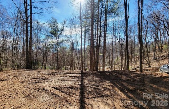 2166 Cove Creek Road, Waynesville, NC 28785