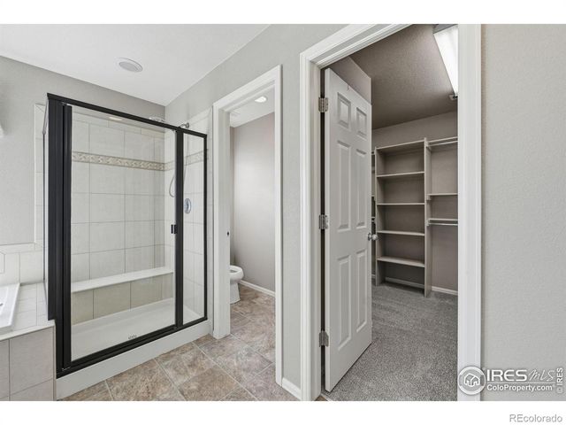 1555 Benfleet Court, Windsor, CO 80550