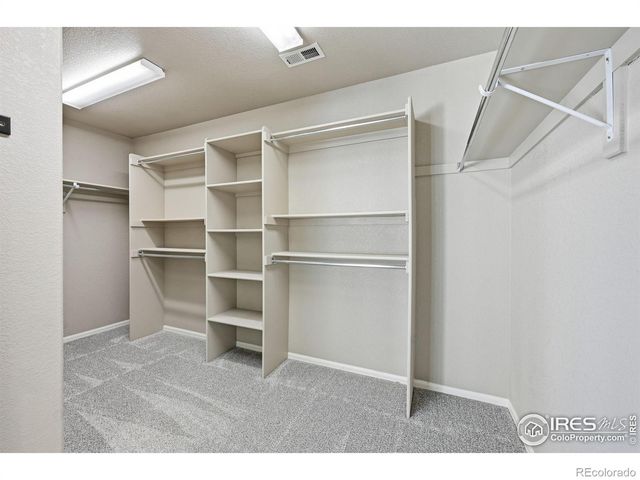 1555 Benfleet Court, Windsor, CO 80550