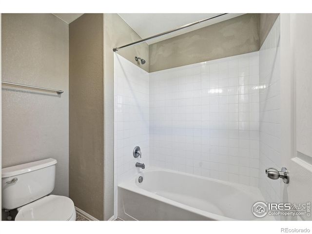 1555 Benfleet Court, Windsor, CO 80550