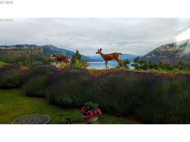 14 MOSIER CREEK Pl, Mosier, OR 97040