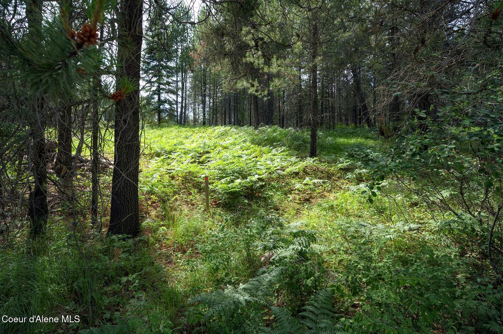 Lot 1 Vivian Acres, Sandpoint, ID 83864