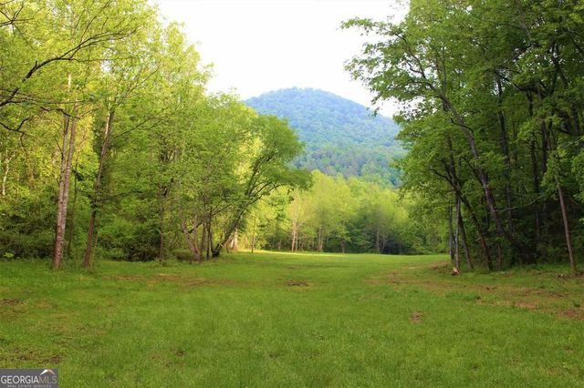 0 Highway 246, Dillard, GA 30537
