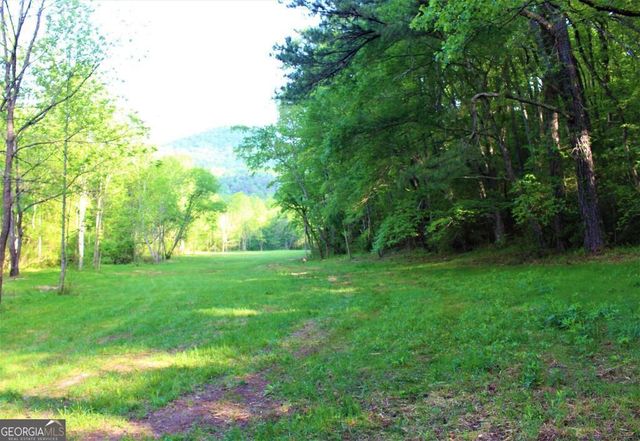 0 Highway 246, Dillard, GA 30537