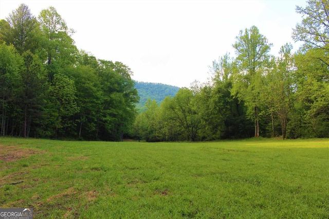 0 Highway 246, Dillard, GA 30537
