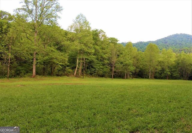 0 Highway 246, Dillard, GA 30537