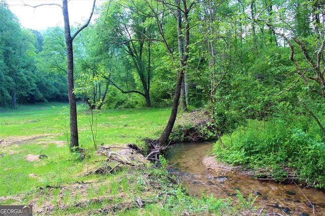 0 Highway 246, Dillard, GA 30537