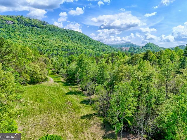 0 Highway 246, Dillard, GA 30537