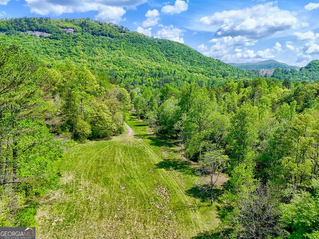 0 Highway 246, Dillard, GA 30537