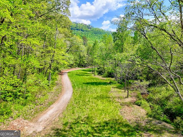0 Highway 246, Dillard, GA 30537