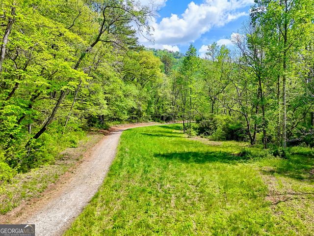 0 Highway 246, Dillard, GA 30537