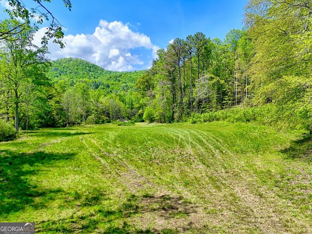 0 Highway 246, Dillard, GA 30537