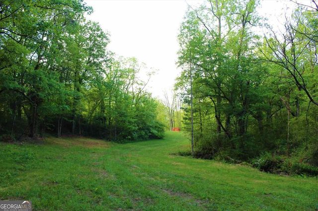 0 Highway 246, Dillard, GA 30537