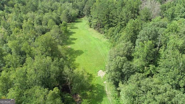 0 Highway 246, Dillard, GA 30537