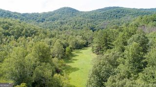 0 Highway 246, Dillard, GA 30537