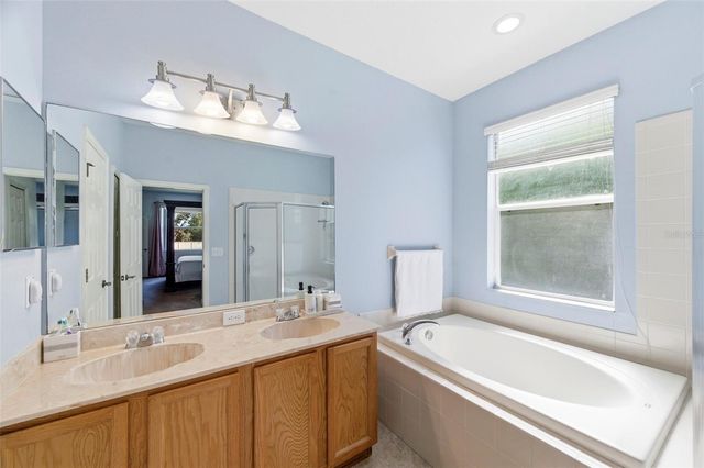 6823 GREEN HERON DRIVE, Wesley Chapel, FL 33545