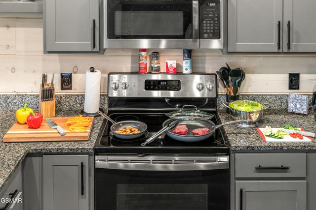 3029 Ridgetop Resort Way, Pigeon Forge, TN 37863