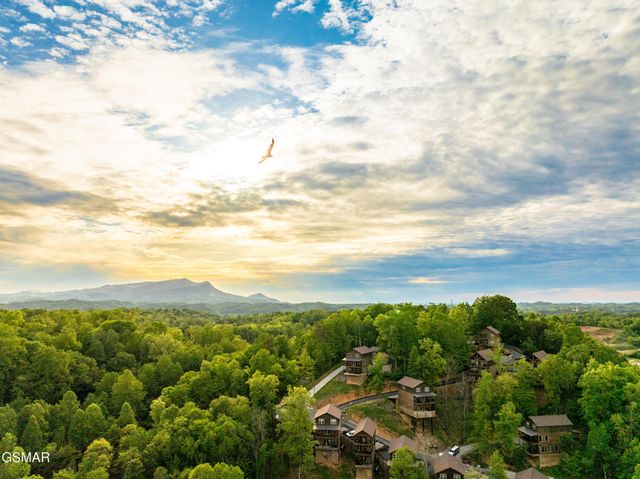 3029 Ridgetop Resort Way, Pigeon Forge, TN 37863