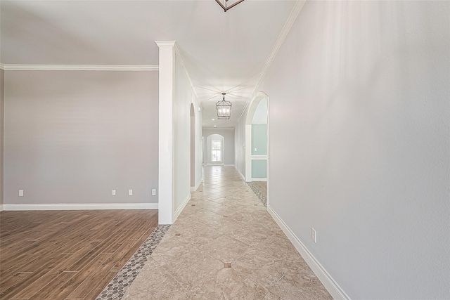 31902 Forest Pine Court, Conroe, TX 77385