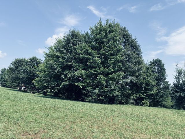 800 Sunset Circle, Jasper, TN 37347