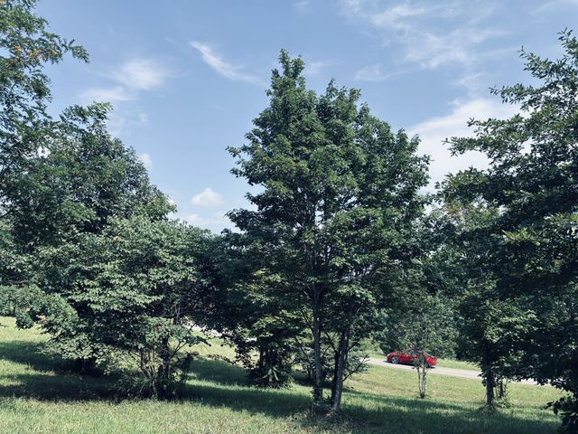 800 Sunset Circle, Jasper, TN 37347