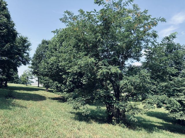 800 Sunset Circle, Jasper, TN 37347