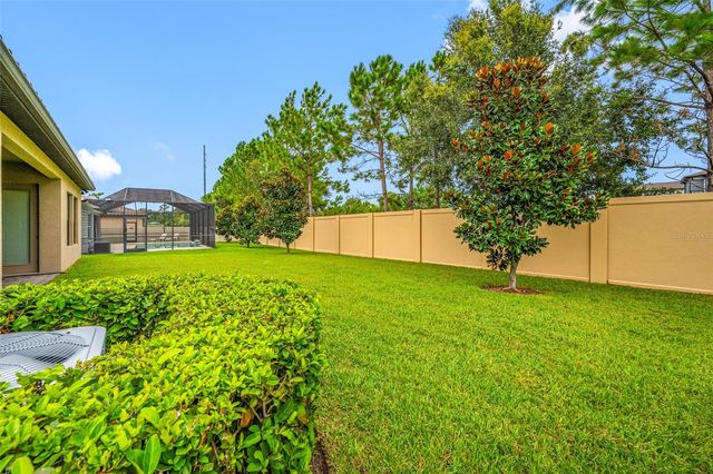 18308 LEAFMORE STREET, Lutz, FL 33548
