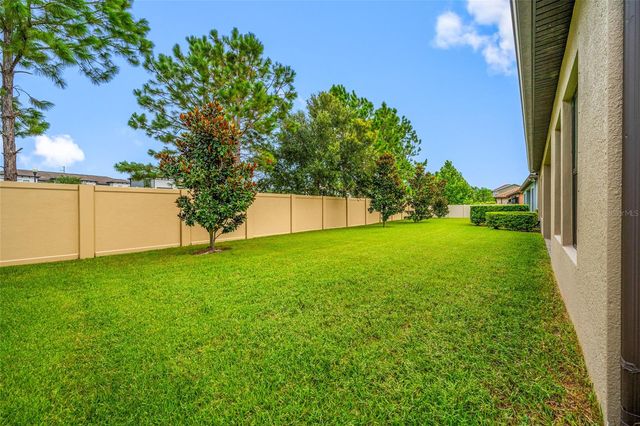 18308 LEAFMORE STREET, Lutz, FL 33548