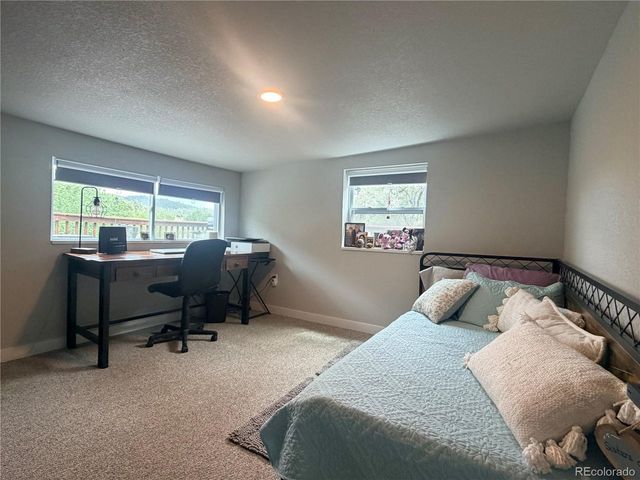 2184 S Grapevine Rd, Idledale, CO 80435