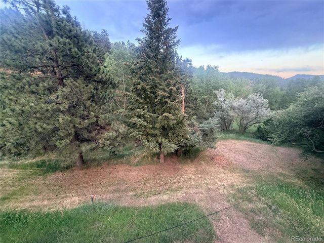 2184 S Grapevine Rd, Idledale, CO 80435