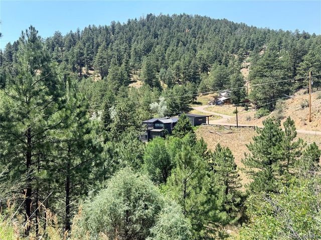 2184 S Grapevine Rd, Idledale, CO 80435