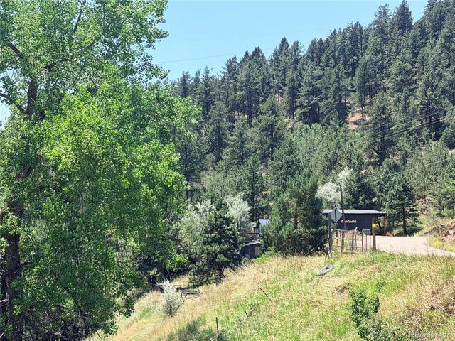 2184 S Grapevine Rd, Idledale, CO 80435
