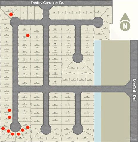 1824 S Middleton Street, Edinburg, TX 78539