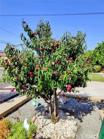 421 E 219th, Carson, CA 90745