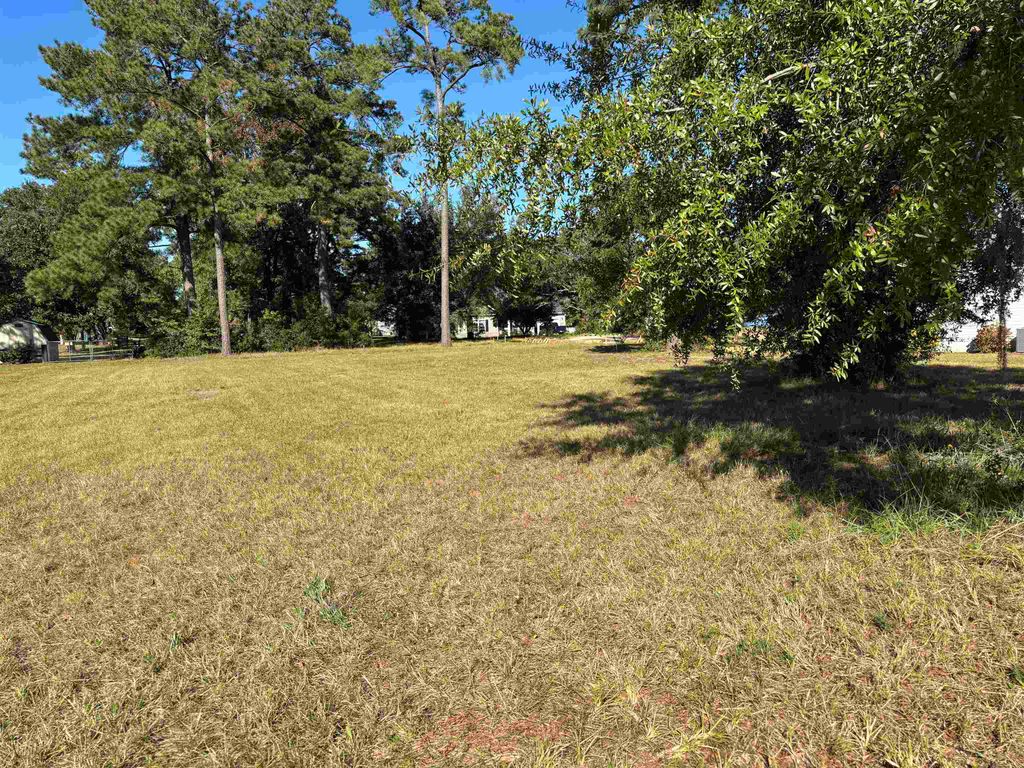 Lot 161 Seaport Circle, Georgetown, SC 29440 — photo 3