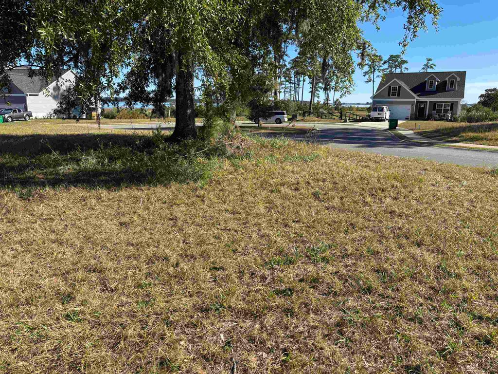 Lot 161 Seaport Circle, Georgetown, SC 29440 — photo 5
