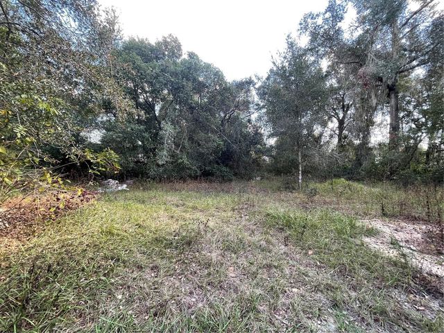 20160 SE 141ST STREET, Umatilla, FL 32784
