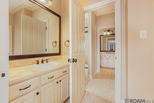 12356 Oak Fields Dr, Geismar, LA 70734