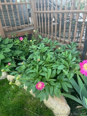 39 Forbes Place, East Haven, CT 06512