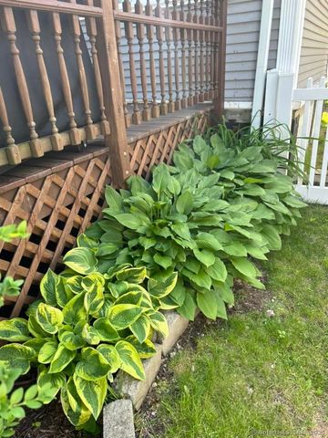 39 Forbes Place, East Haven, CT 06512