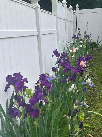 39 Forbes Place, East Haven, CT 06512