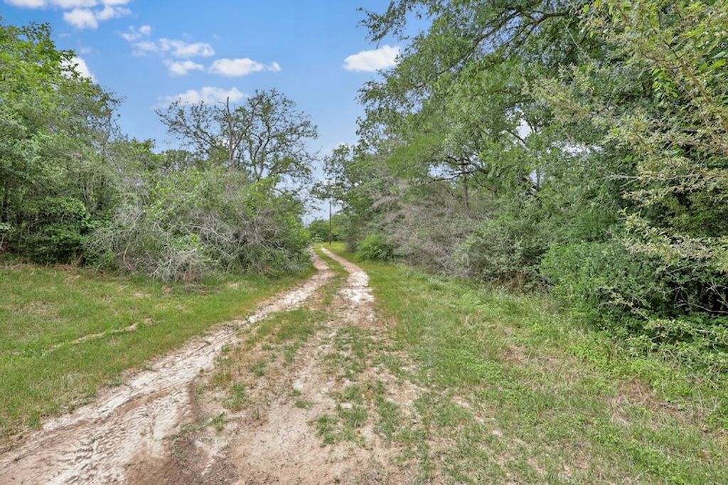 6558 Brazos Drive, College Station, TX 77845 — photo 2
