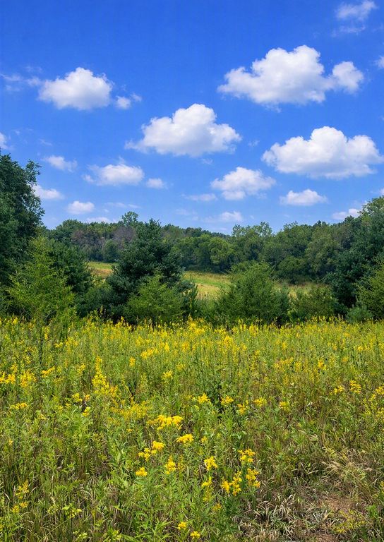 xxxx Jeffrey Boulevard, Grant, MN 55082 — photo 2