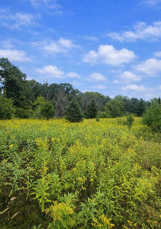 xxxx Jeffrey Boulevard, Grant, MN 55082 — photo 4