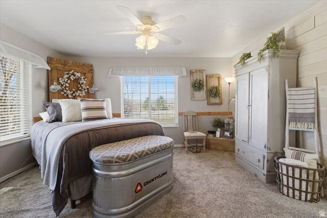 11770 E 24500 N, Fairview, UT 84629