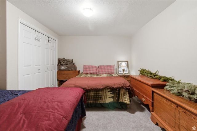 11770 E 24500 N, Fairview, UT 84629