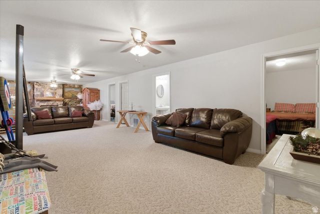 11770 E 24500 N, Fairview, UT 84629