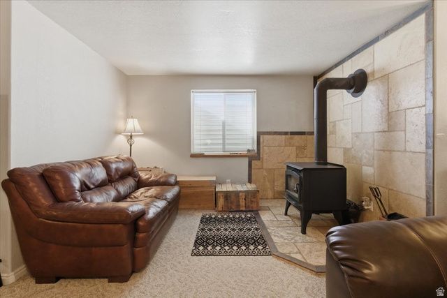 11770 E 24500 N, Fairview, UT 84629