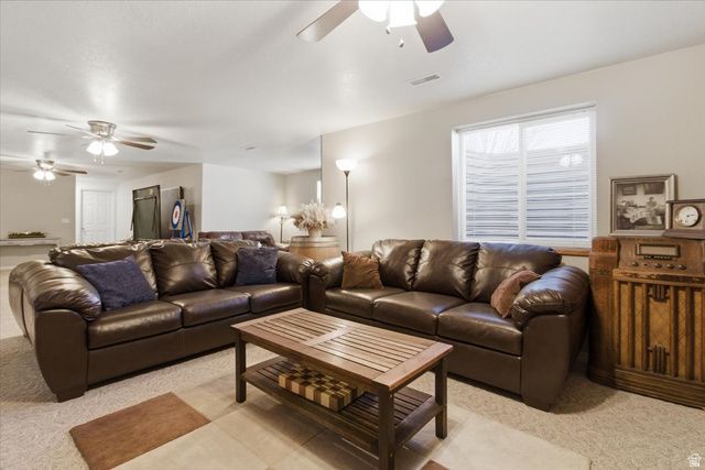 11770 E 24500 N, Fairview, UT 84629