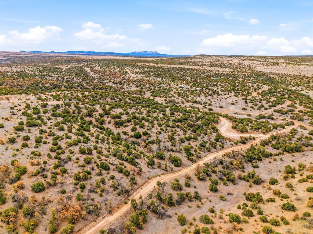 Image 14 of property listing at 311 Cimarron Drive, Quemado, NM 87829